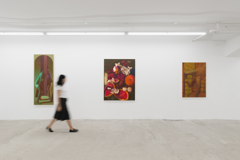 Kate Meissner and Regina Parra, Tableaux Rosa, Installation view at Lyles & King, New York, 2024