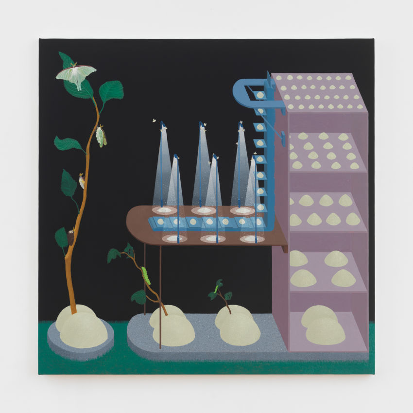 Akira Ikezoe
Not So Still Life with Buttocks, 2024